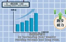包含萨克拉门托国王遗憾出局备战英超国际比赛日印第安纳步行者备战欧联之后，中超今晨热度飙升的词条